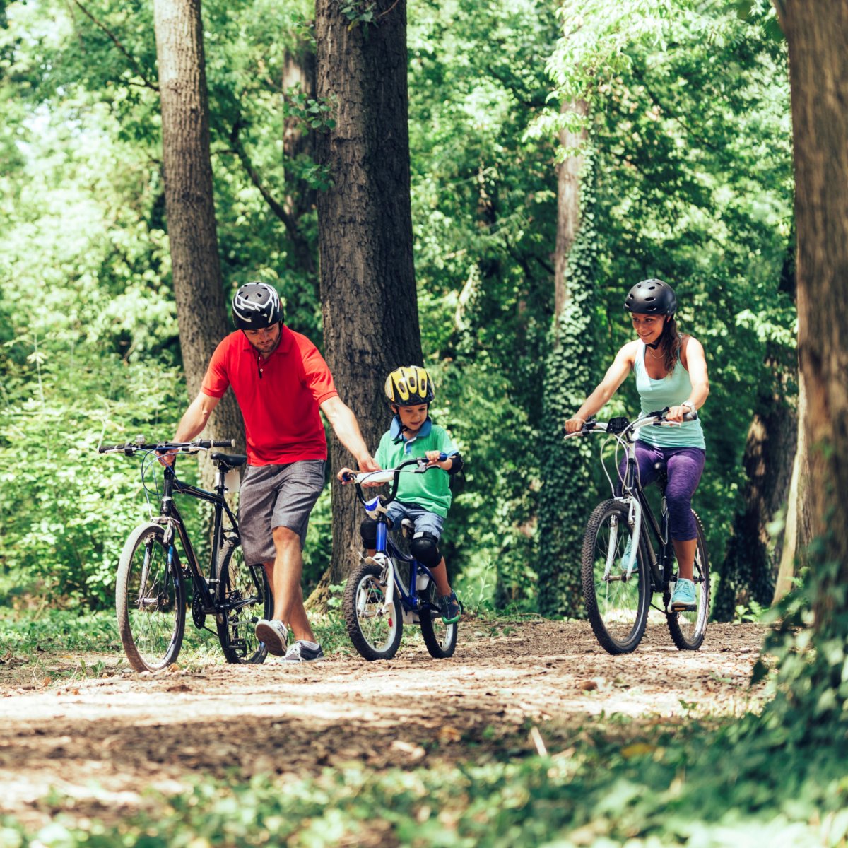 Wonderful 11 mile both family cycle tracks and thrill seeking ones too.